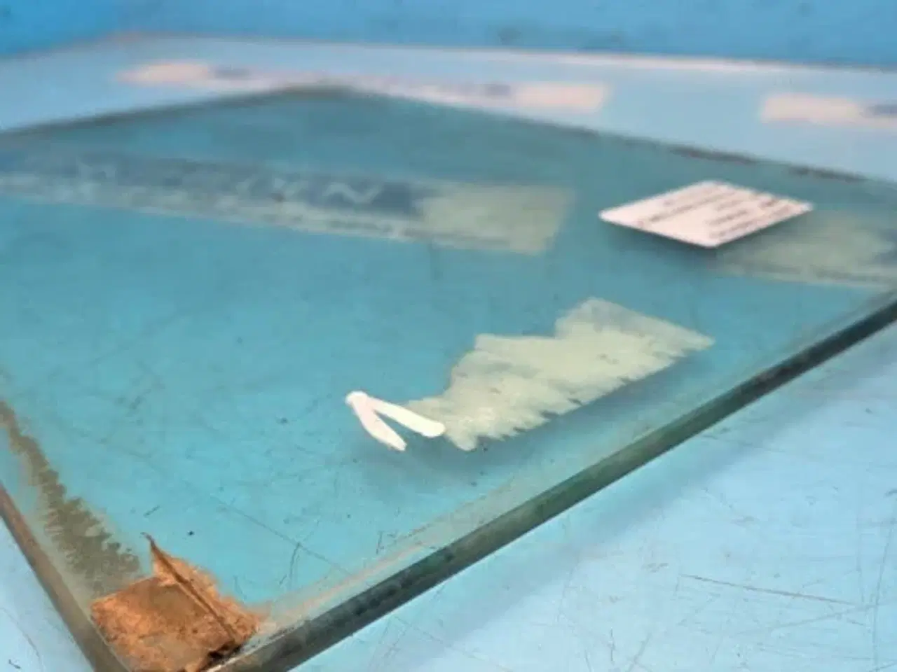 Billede 5 - Massey Ferguson 3060 Rude 3389391M2