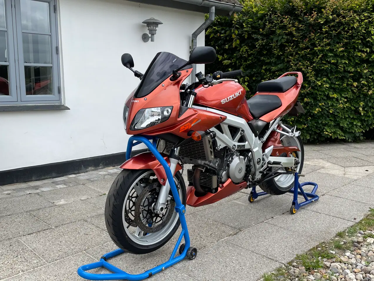 Billede 1 - Suzuki SV1000S Nyserviceret 