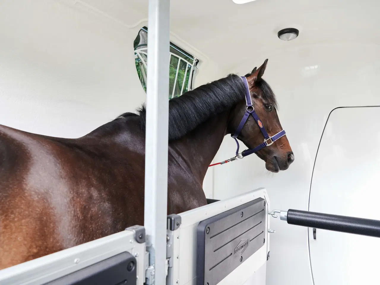 Billede 23 - Böckmann Neo L SR