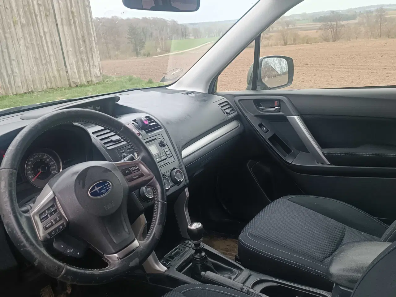 Billede 2 - Subraue Forester 