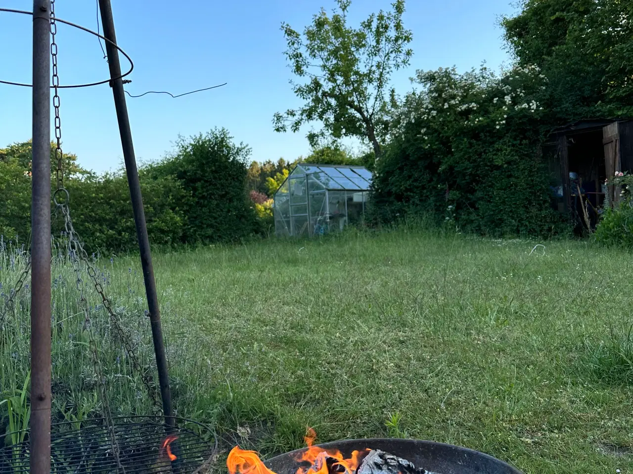 Billede 17 - Skøn kolonihave med fantastisk beliggenhed 