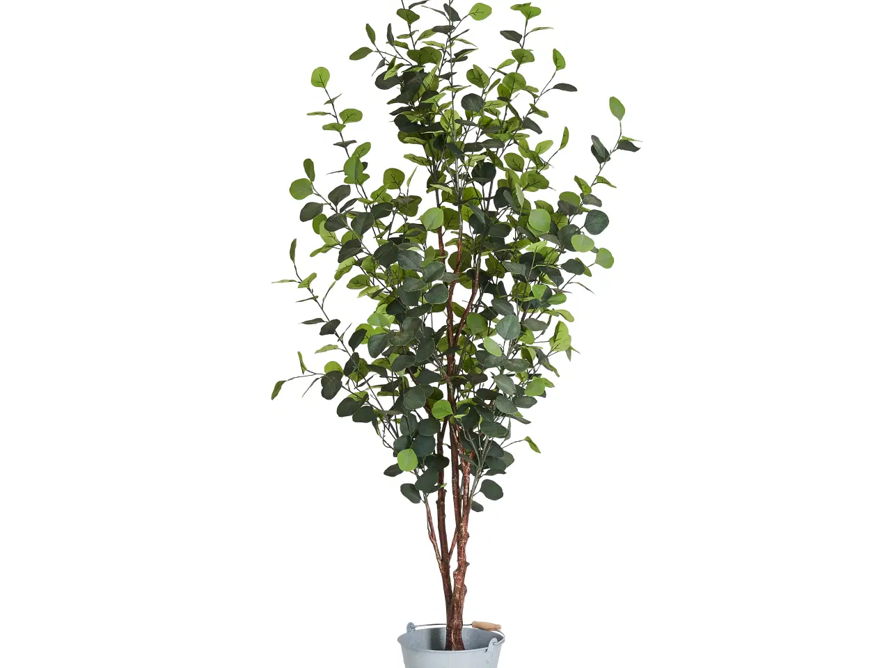 Billede 1 - Kunstig plante Eukalyptus træ 150 cm. 