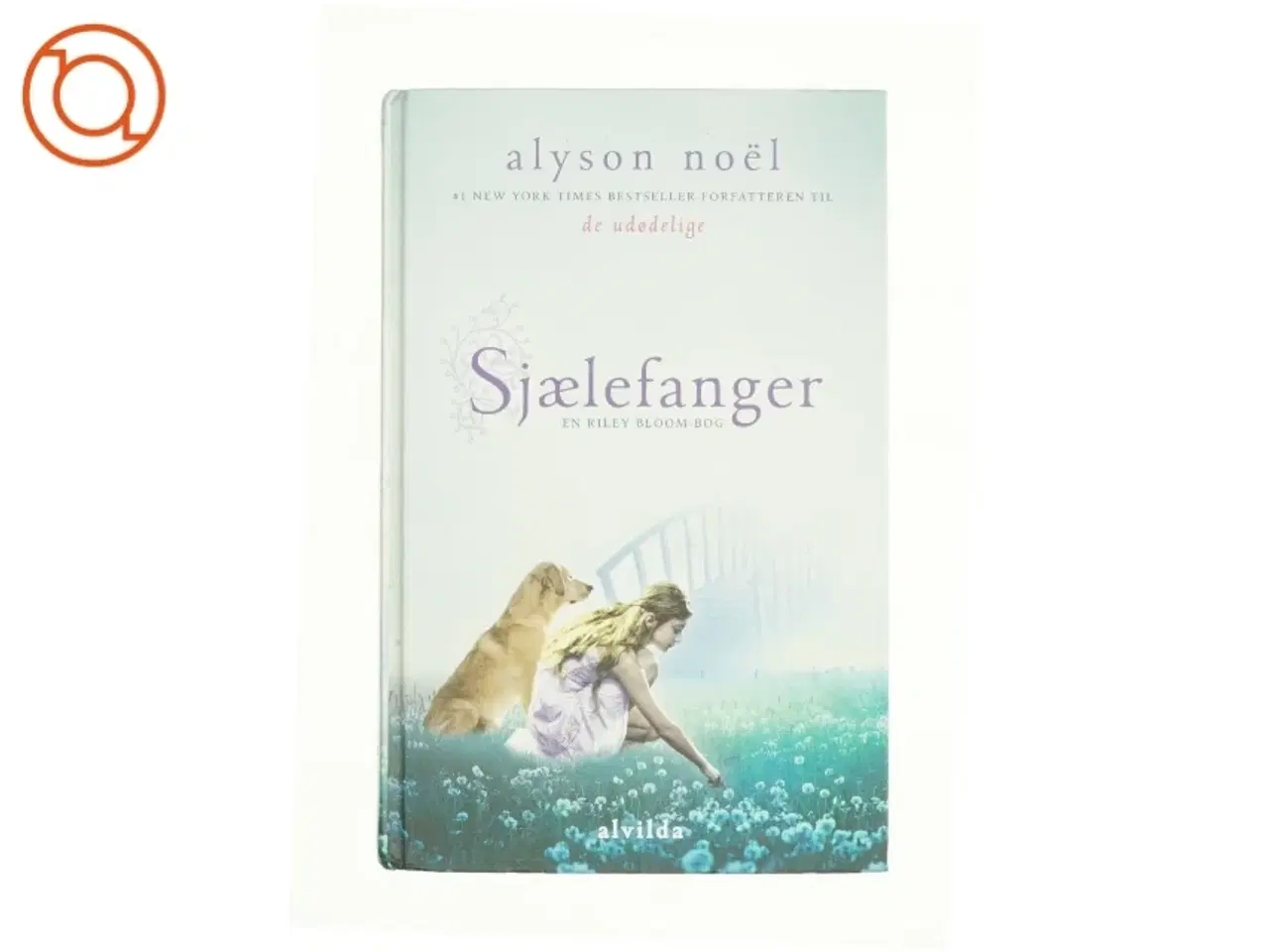 Billede 1 - Sjælefanger af Alyson No&#235;l (bog)