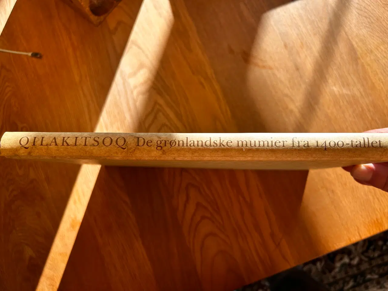 Billede 2 - Qilakitsoq De grønlandske mumier fra 1400-tallet