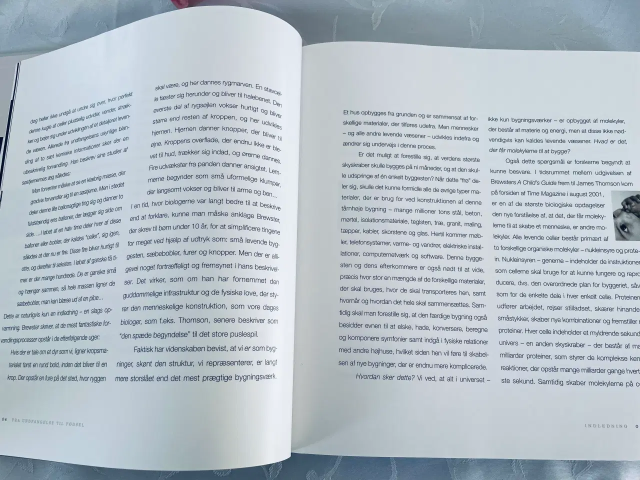 Billede 6 - Fra undfangelse til fødsel