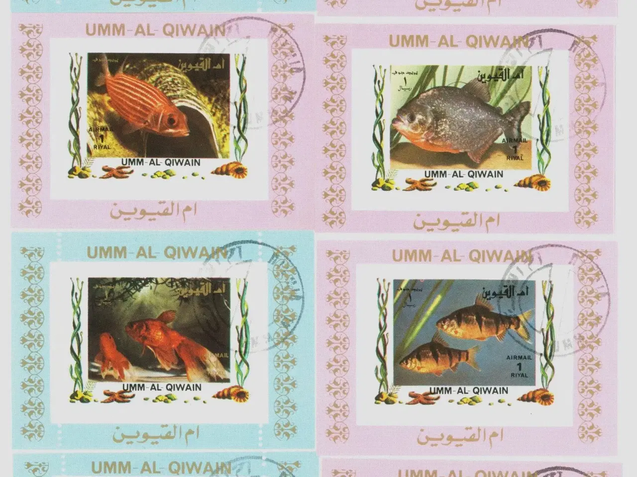 Billede 1 - Umm Al Qiwain, fisk