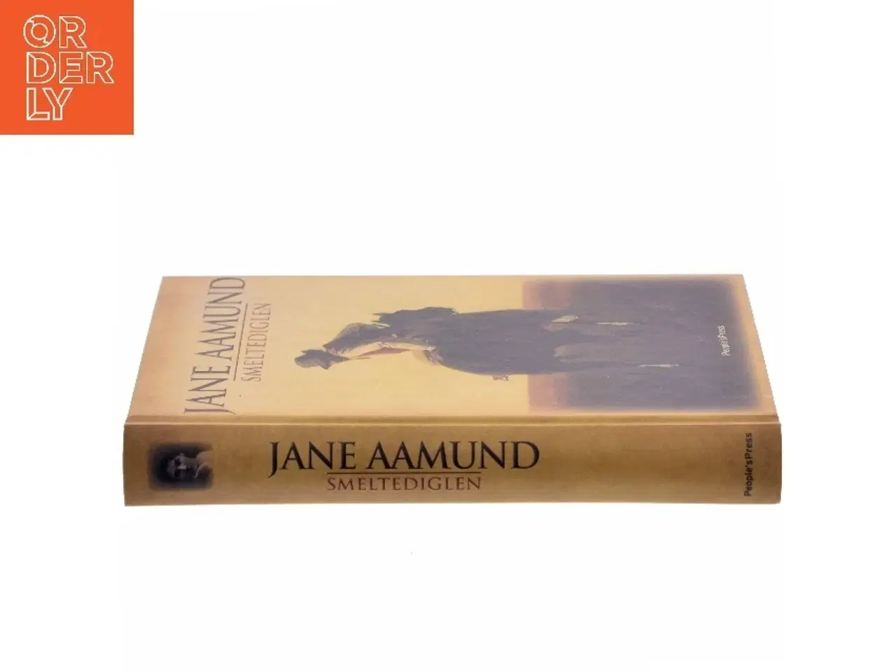 Billede 2 - Smeltediglen : andet bind i slægtskrøniken om de dansk-argentinske indvandrere : roman af Jane Aamund (Bog)