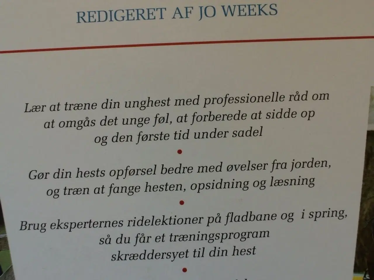 Billede 3 - grundbog i hestetræning, red. af jo weeks