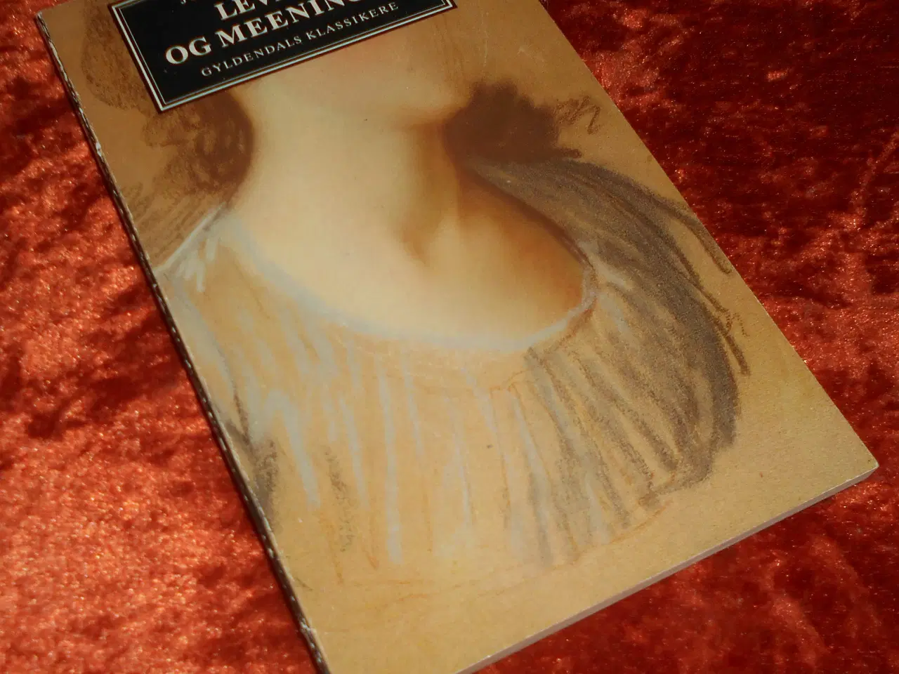 Billede 1 - Levnet og Meeninger, Johannes Ewald,