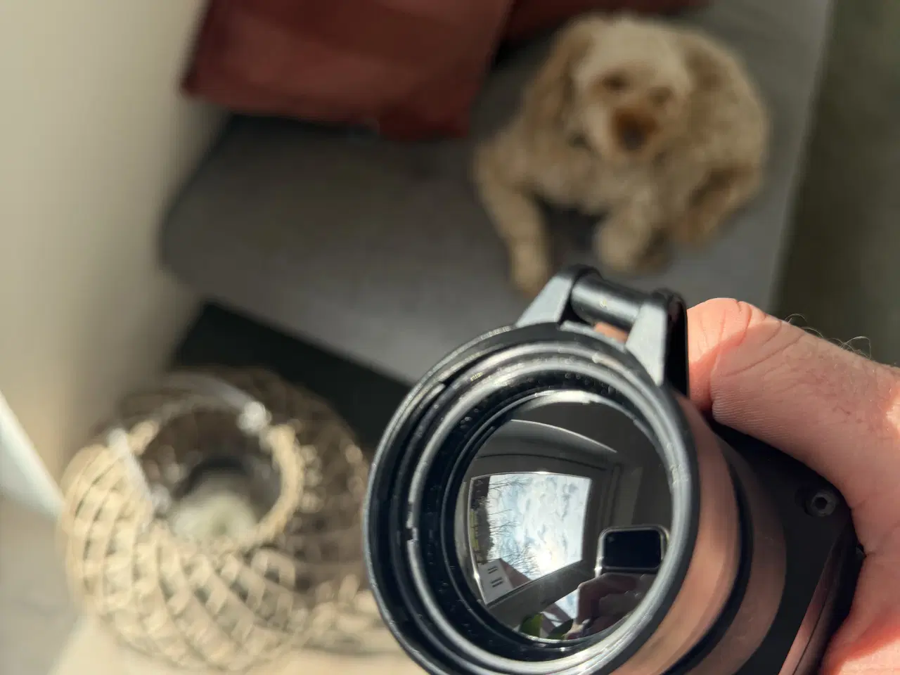 Billede 9 - PULSAR CORE FXQ50