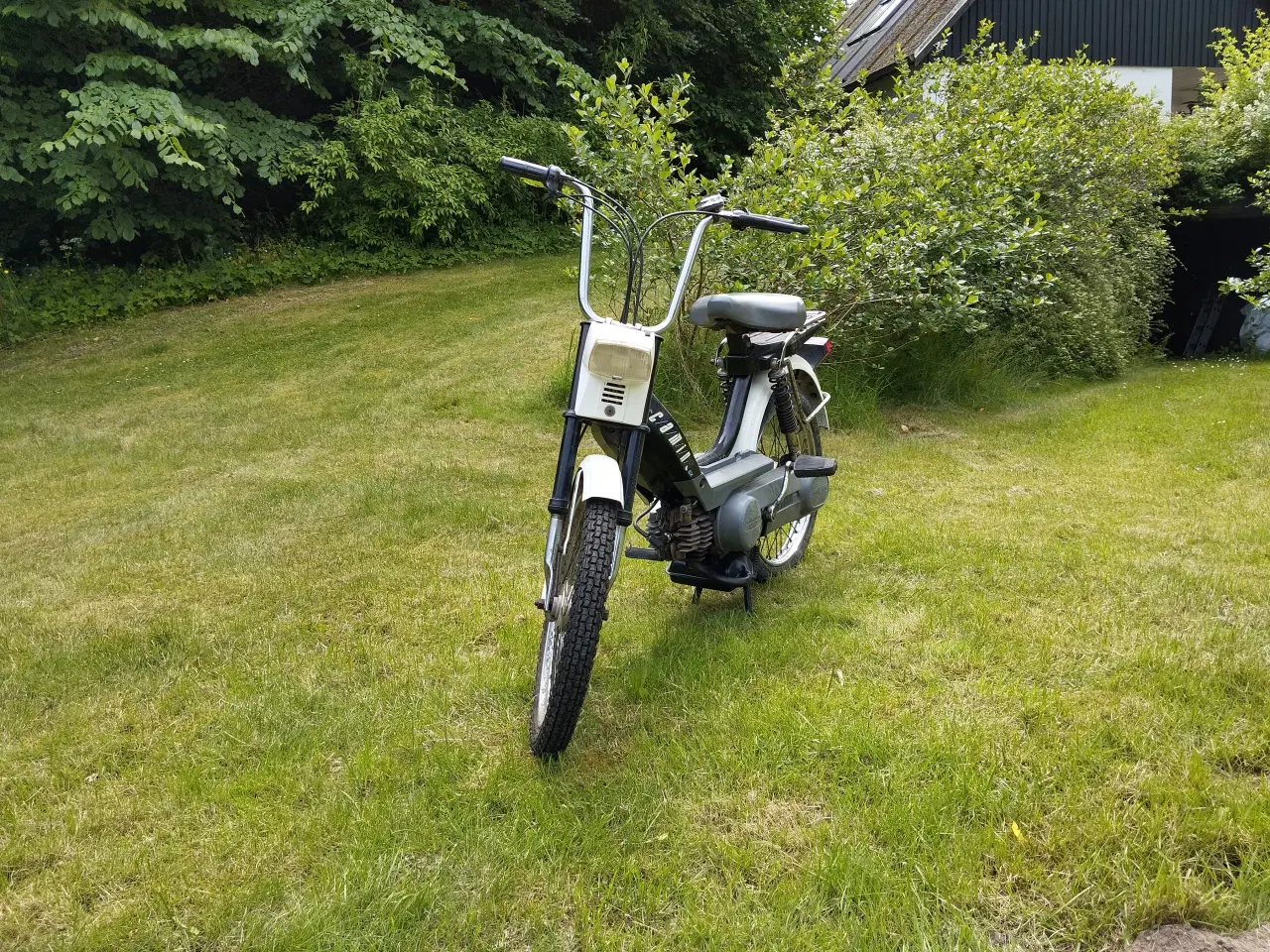 Billede 3 - Knallert - Honda DX Camino Pa50