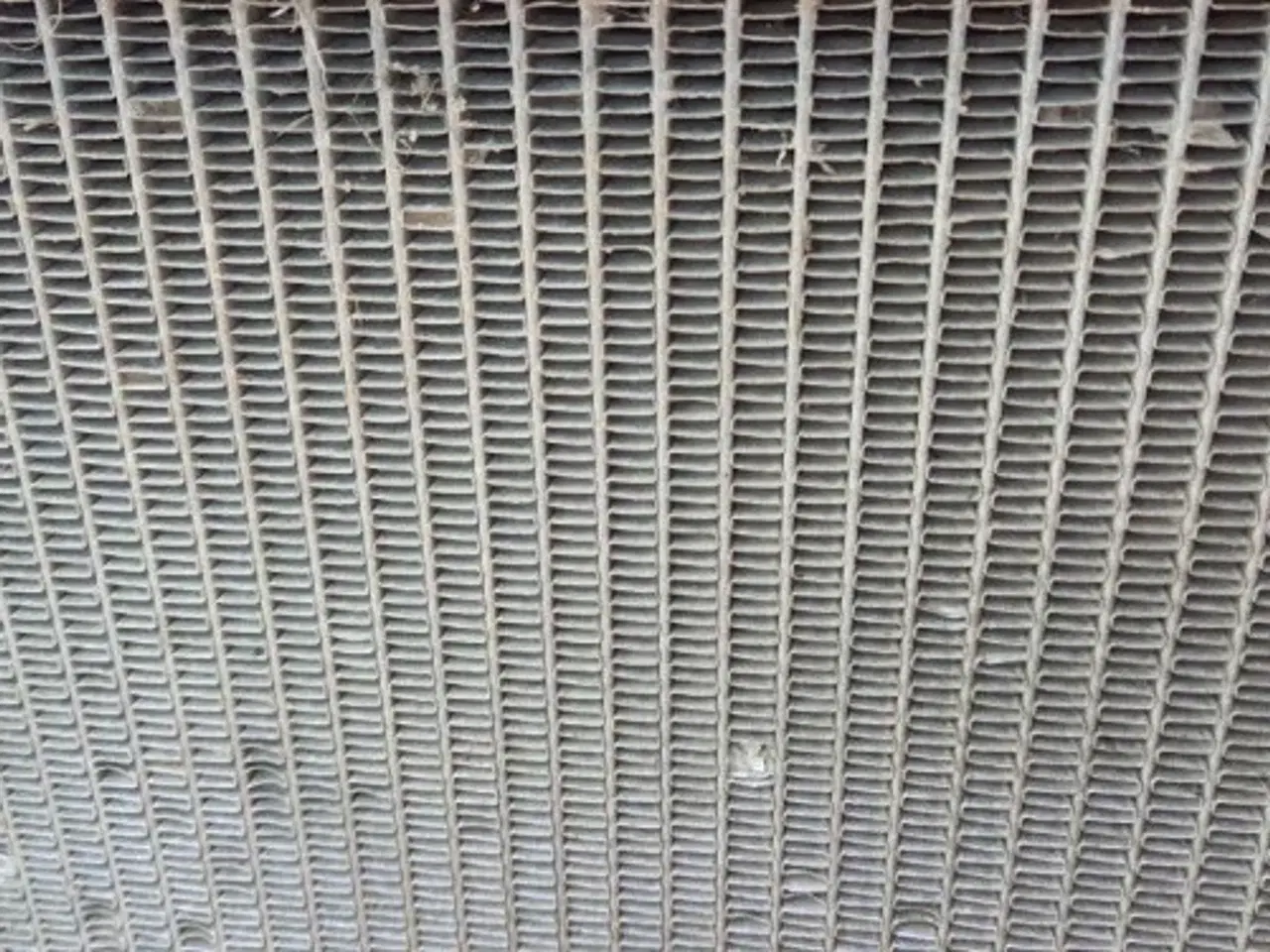 Billede 17 - Massey Ferguson 6260 Køler 3781115M1