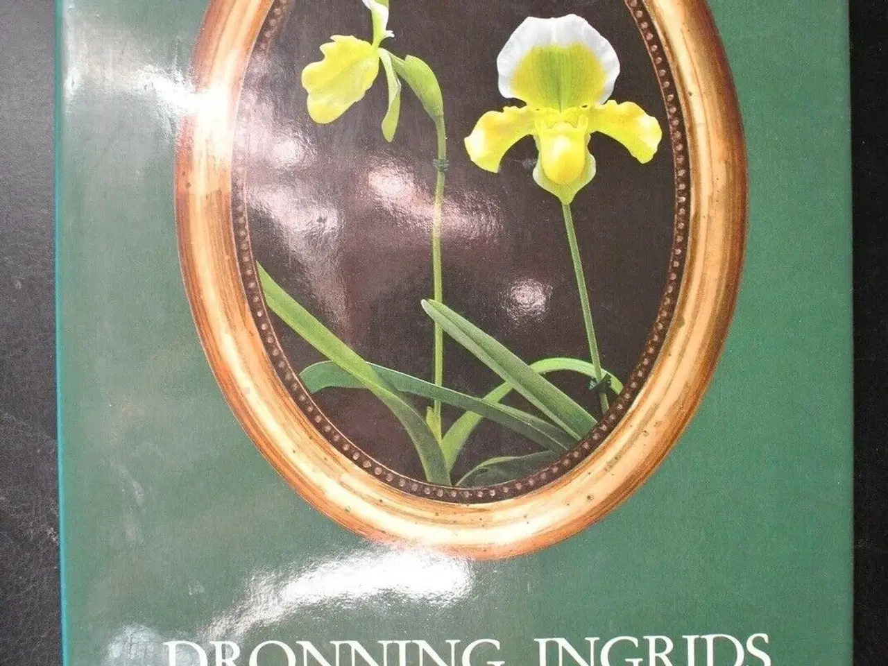 Billede 1 - dronning ingrids orkideer, red. af michael sterll,