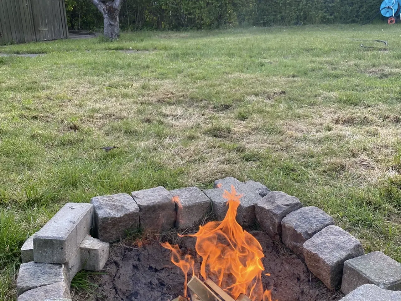 Billede 11 - Kolonihave til salg