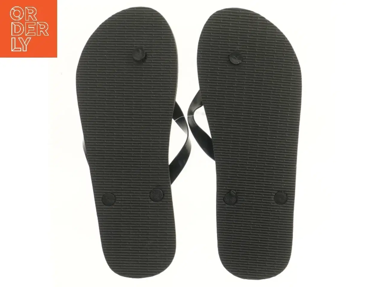 Billede 2 - Sorte klipklappere (str. 43-44 )