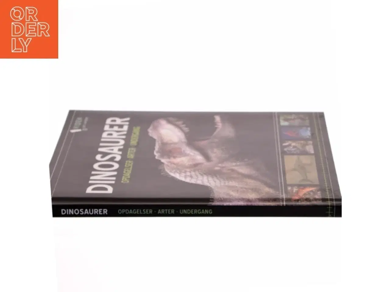 Billede 2 - Bog om dinosaurer