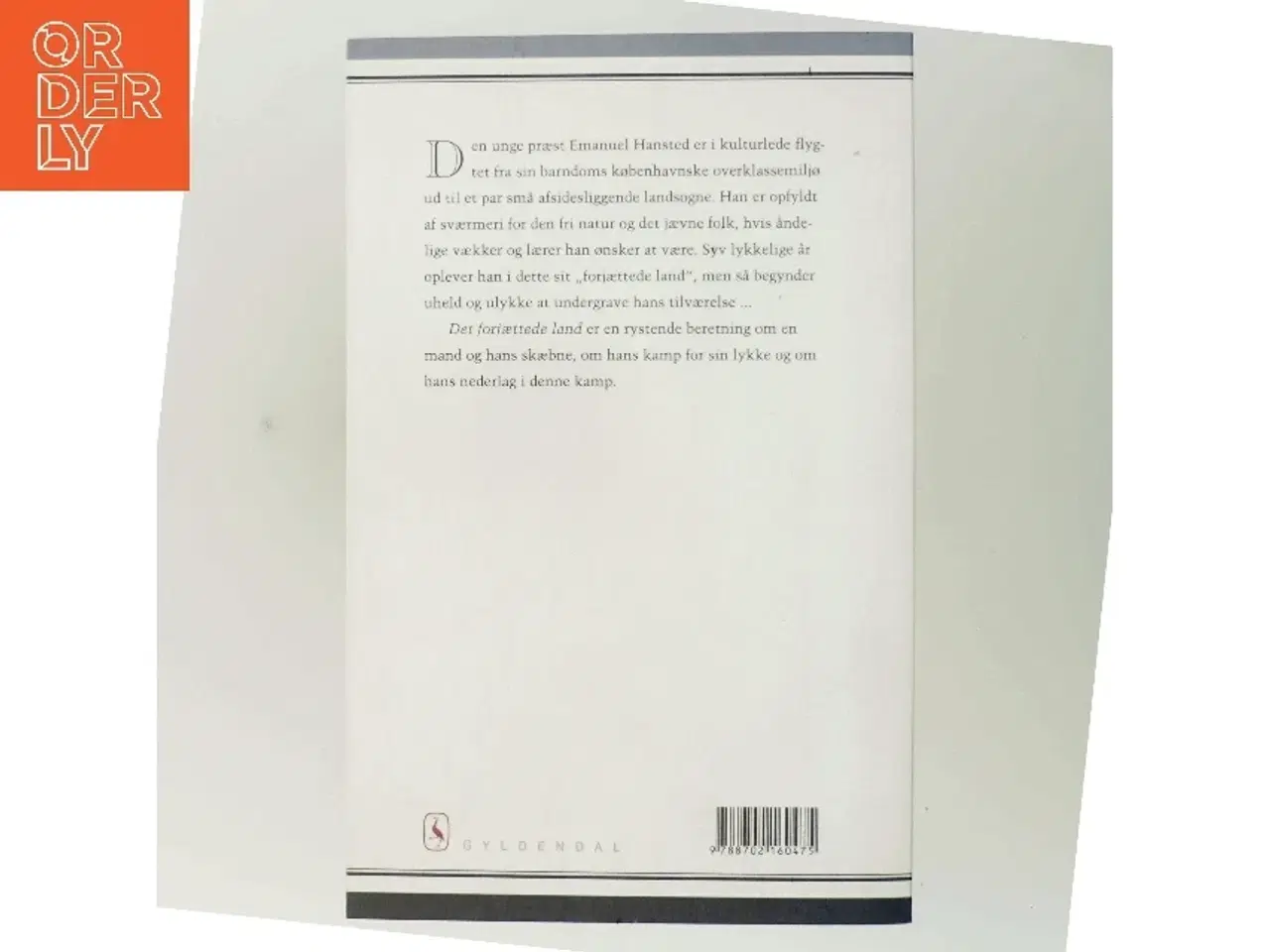 Billede 3 - Det forjættede land af Henrik Pontoppidan (Bog)