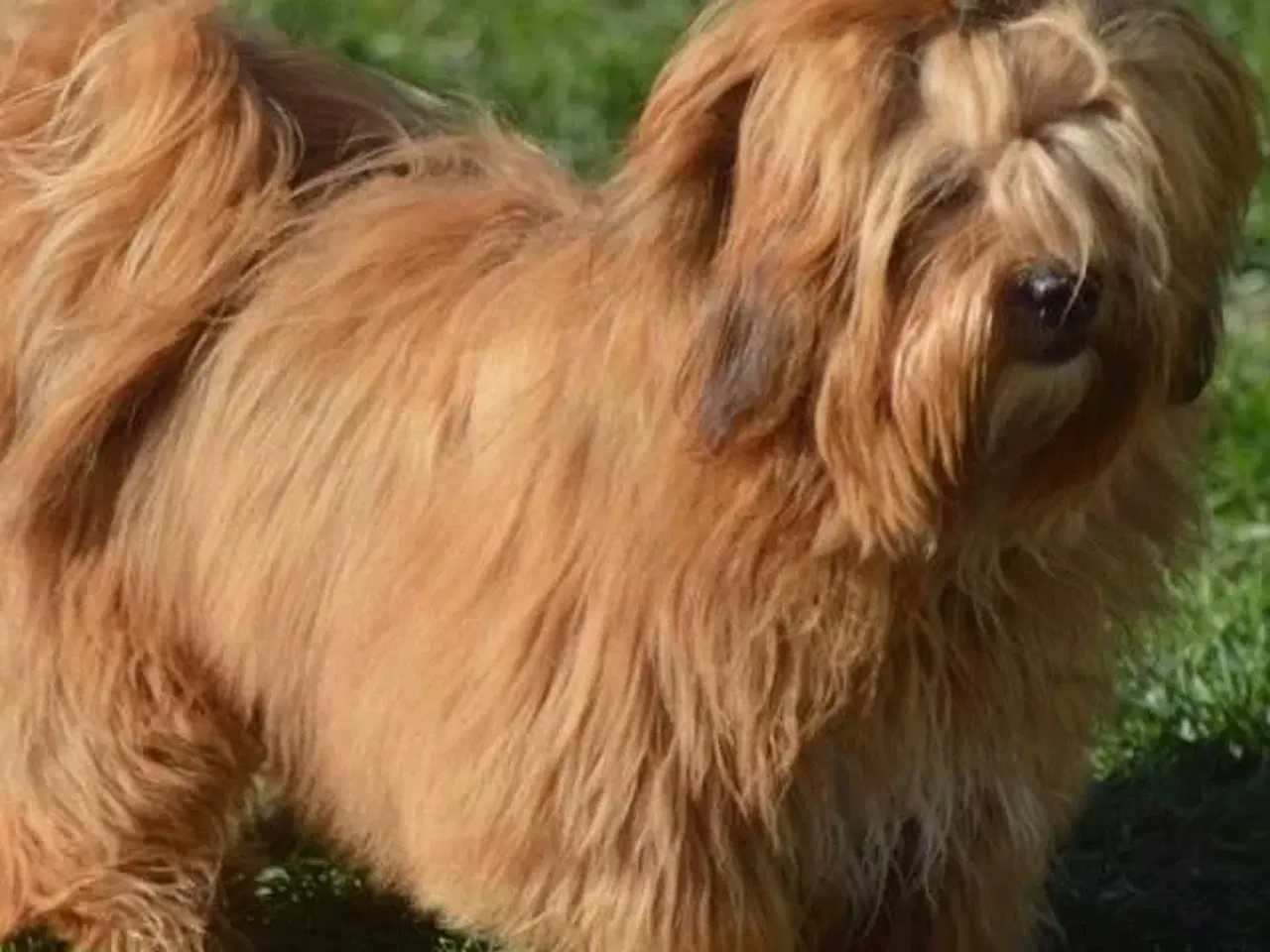 Billede 12 - 💙Skal Ditlev være din 💙