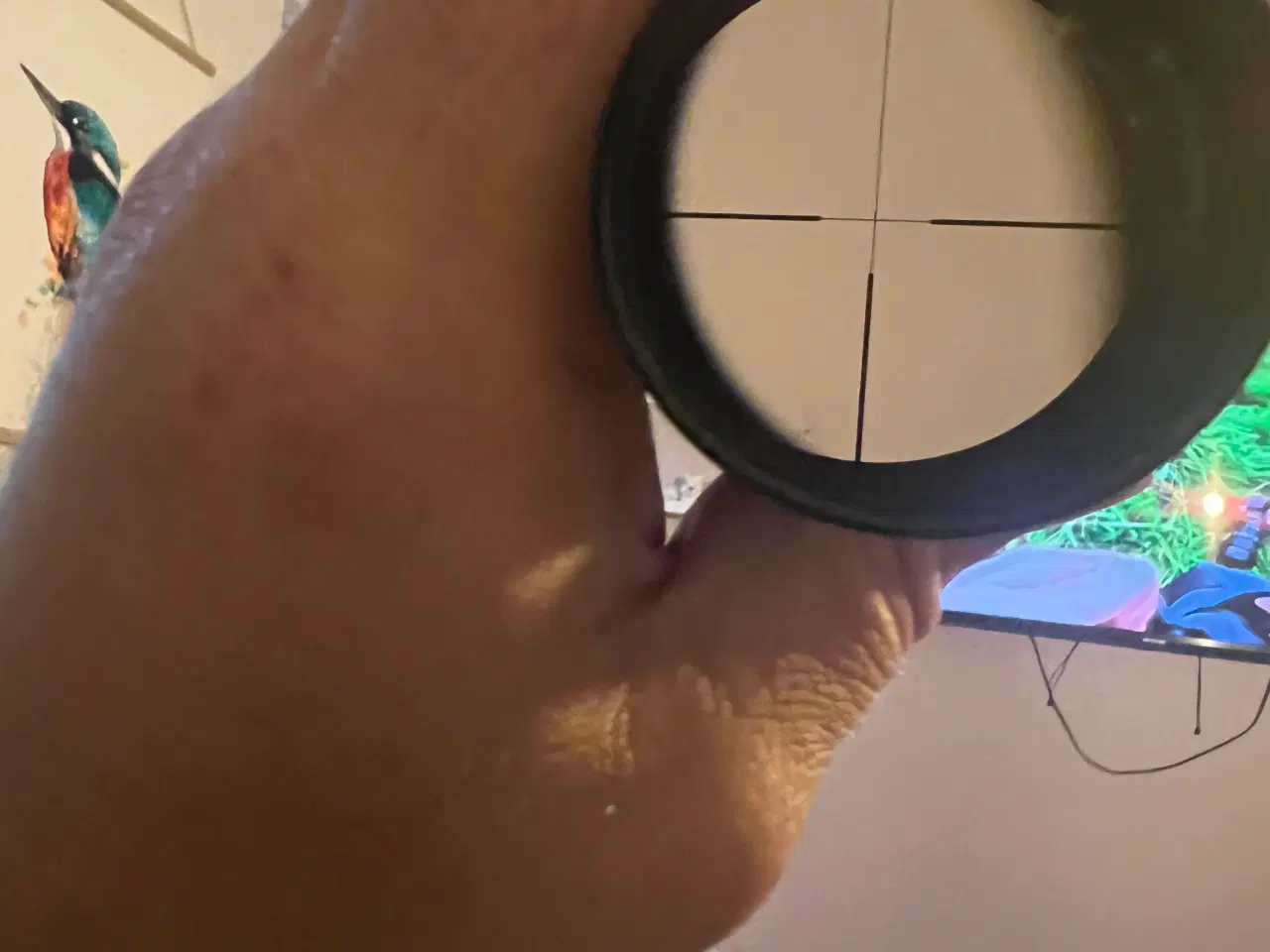 Billede 10 - Zeiss duralyt 2-8x42