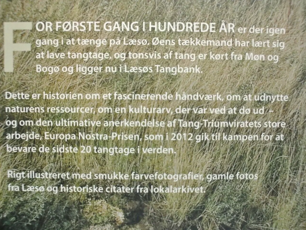 Billede 3 - tængemænd og vaskerpiger, af jørgen kaarup jensen,