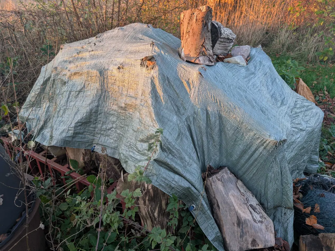 Billede 7 - Savet træ til brænde