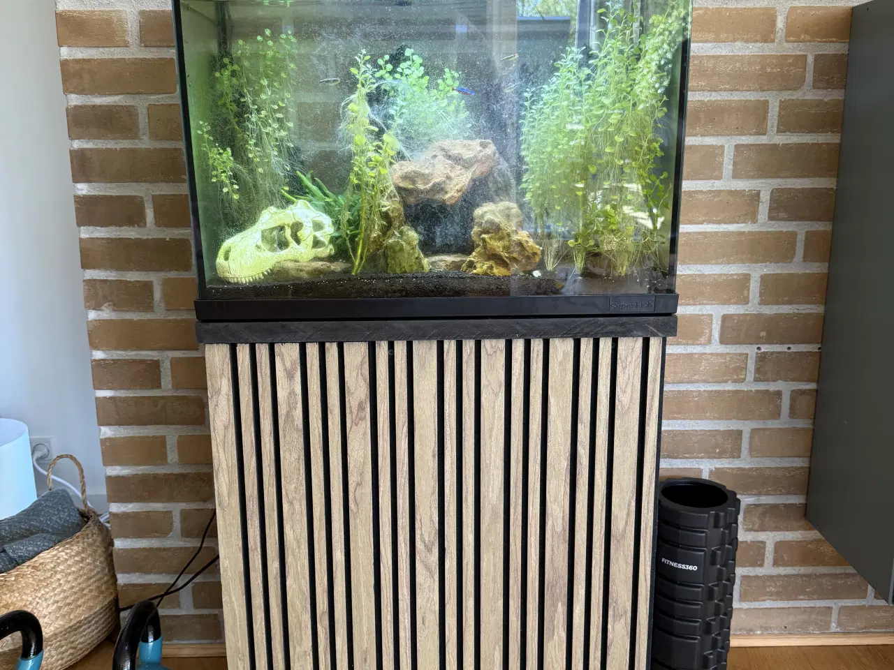 Billede 1 - 40L Superfish akvarie