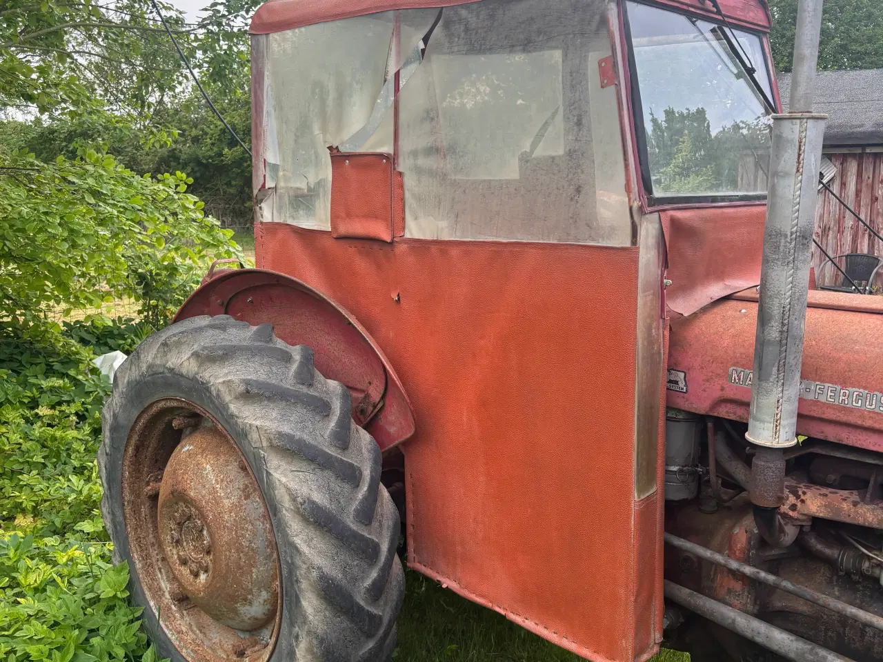Billede 2 - Massey ferguson 35 1961 med papirer 
