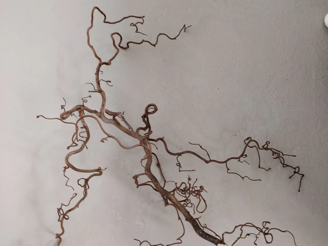 Billede 2 - Troldegrene