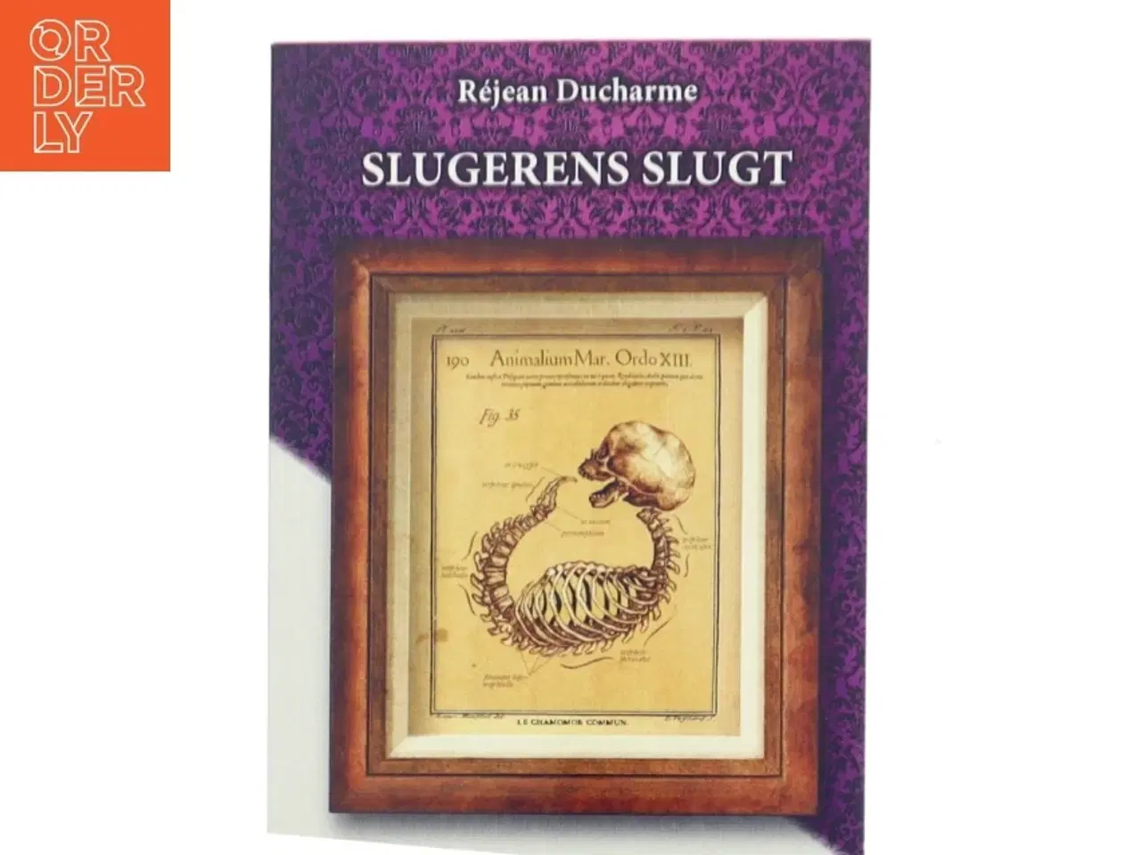 Billede 1 - Slugerens slugt af Réjean Ducharme (Bog)