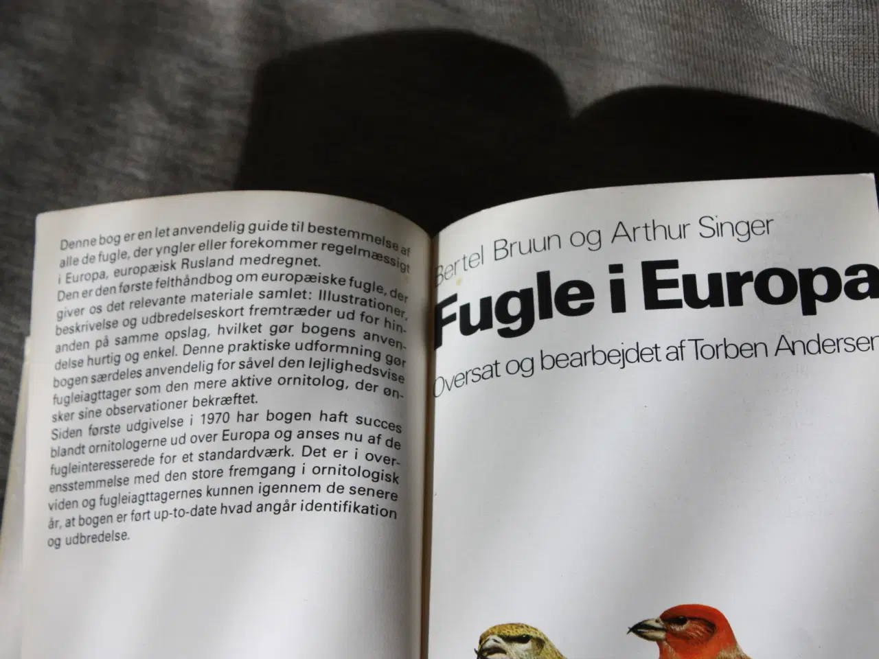 Billede 3 - Fugle i Europa En felthåndbog af Bertel Bruun