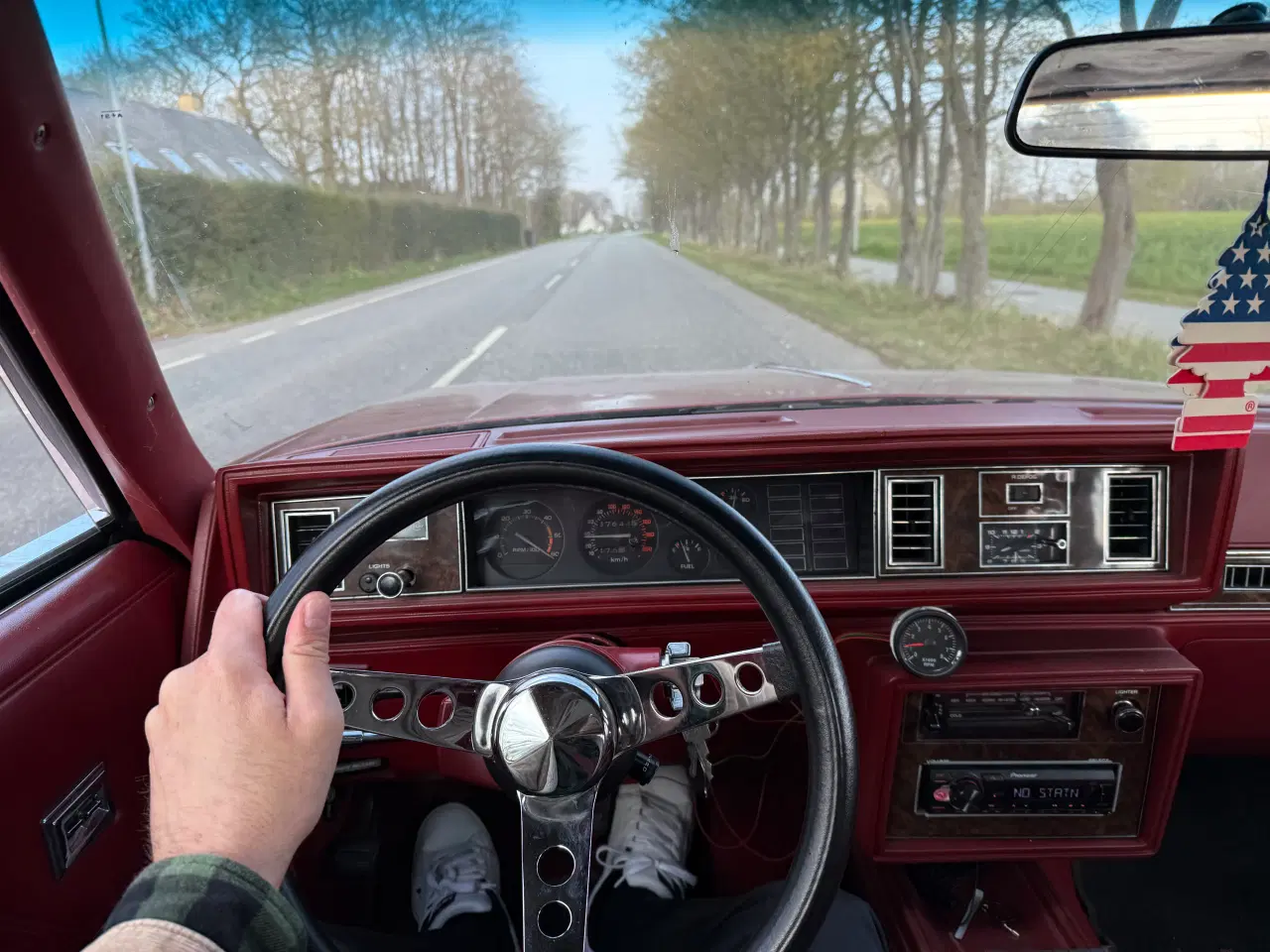 Billede 5 - 1979 Oldsmobile Cutlass Calais 