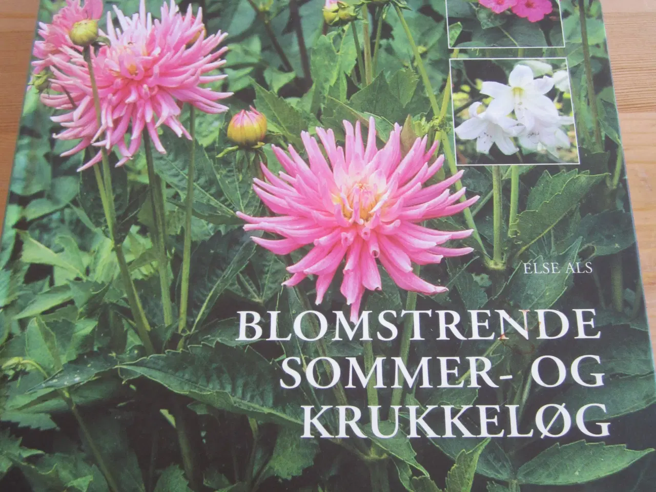 Billede 1 - BYD. BLOMSTRENDE SOMMER OG KRUKKELØG.
