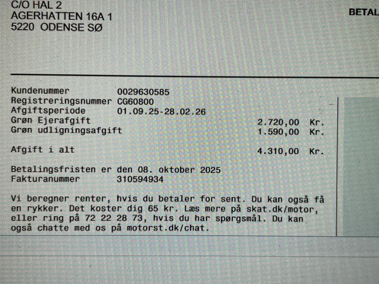 Billede 16 - Meget velholdt transporter