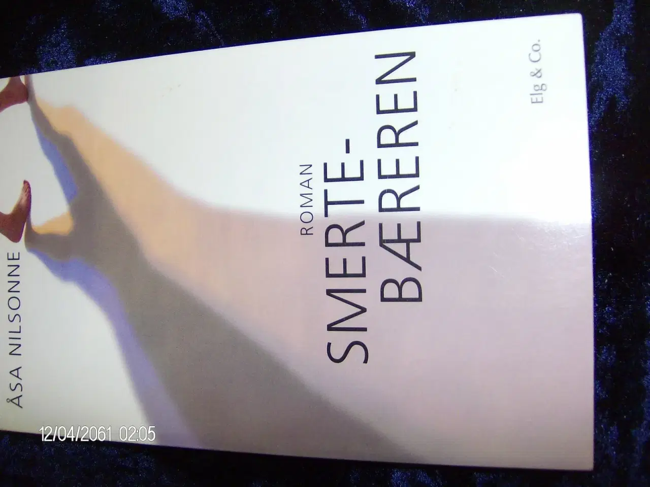 Billede 1 - Smertebæreren 