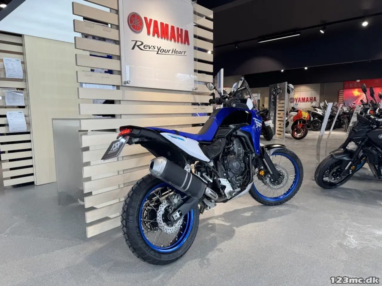 Billede 3 - Yamaha Ténéré 700 MODEL 2025
