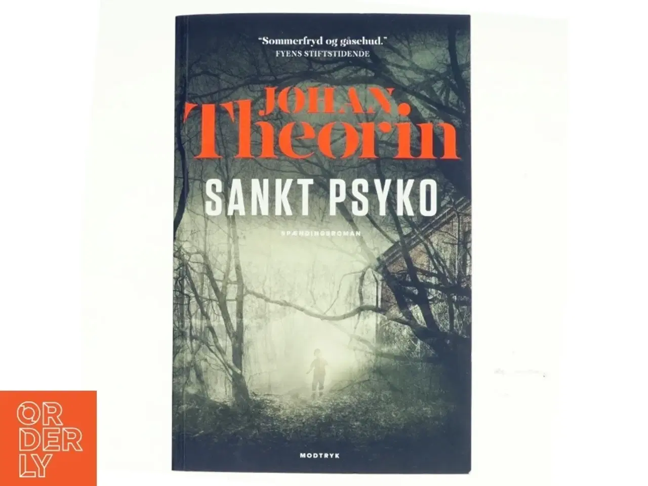 Billede 1 - Sankt Psyko : spændingsroman af Johan Theorin (Bog)