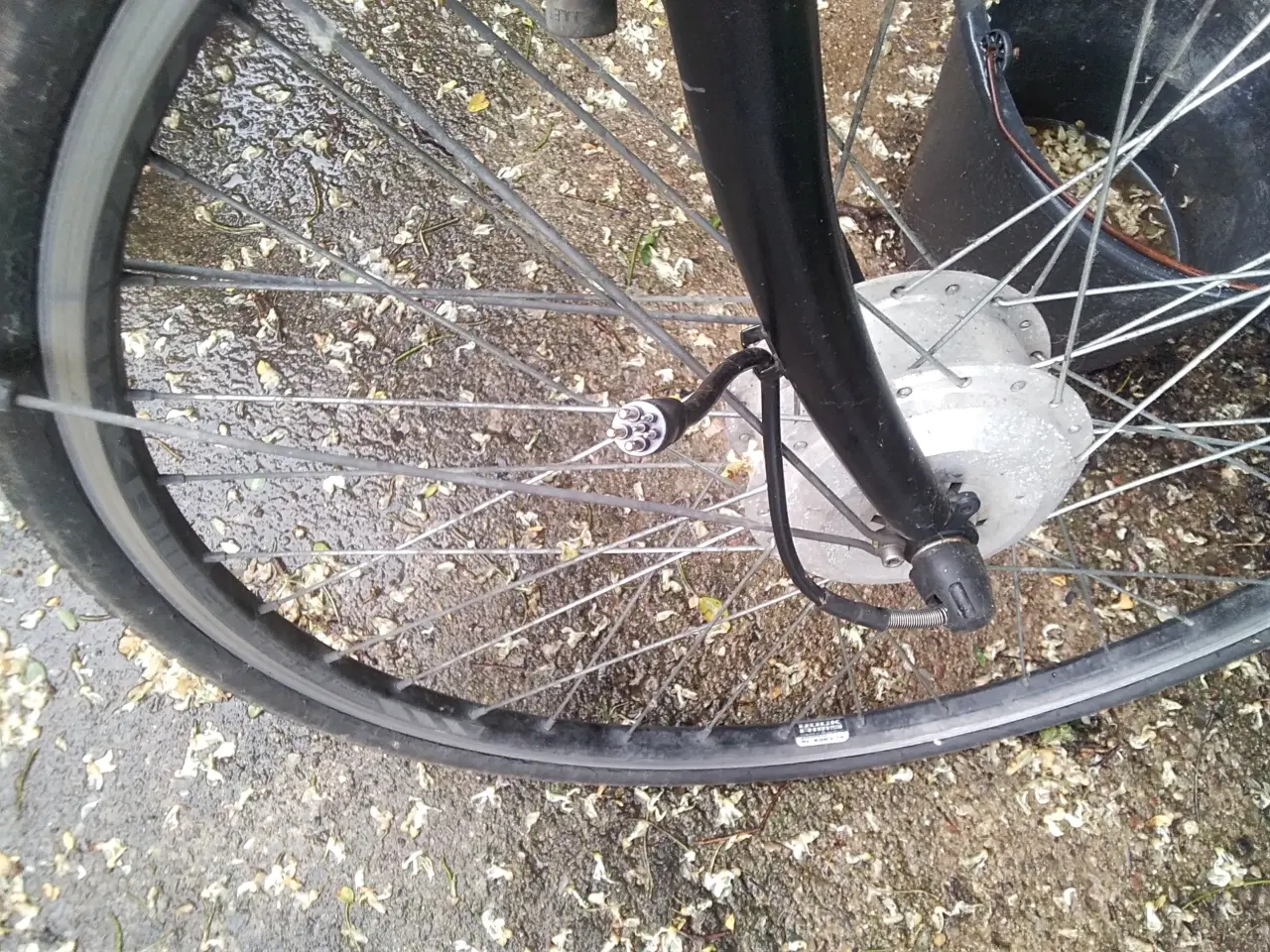 Billede 2 - 36 V forhjulmotor 6 pins stik på 28" hjul KUN HJUL