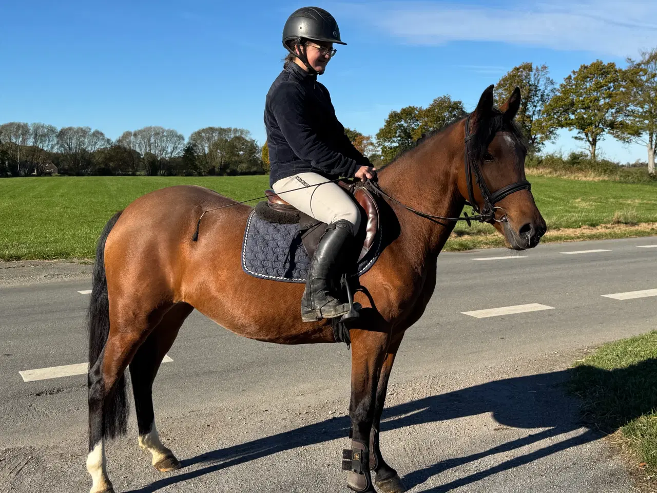 Billede 1 - Sød pony
