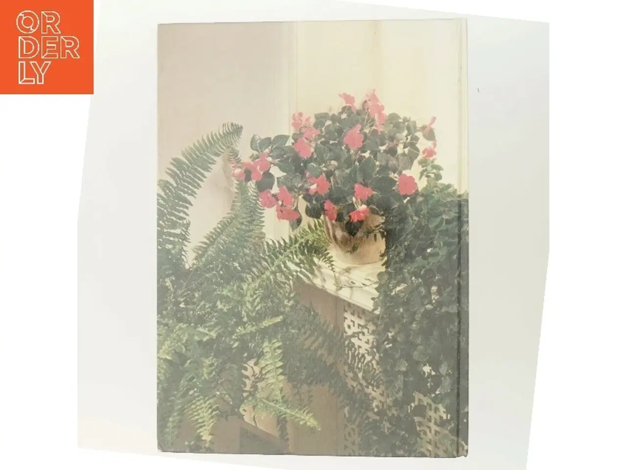 Billede 3 - Alt om stueplanter af <Bog forfattere.< (Bog)