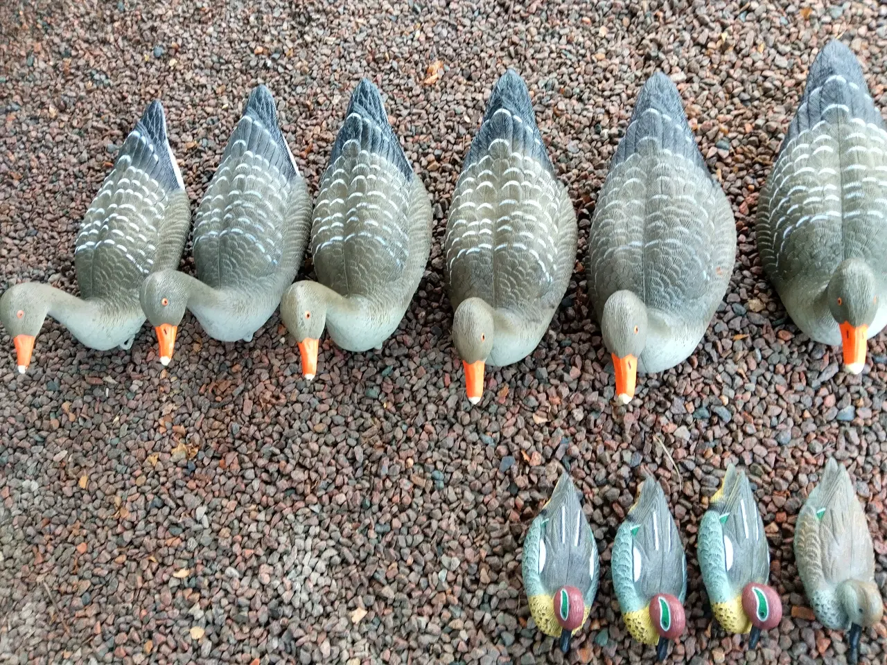 Billede 2 - Lokkegæs og Lokkeænder Flydende 