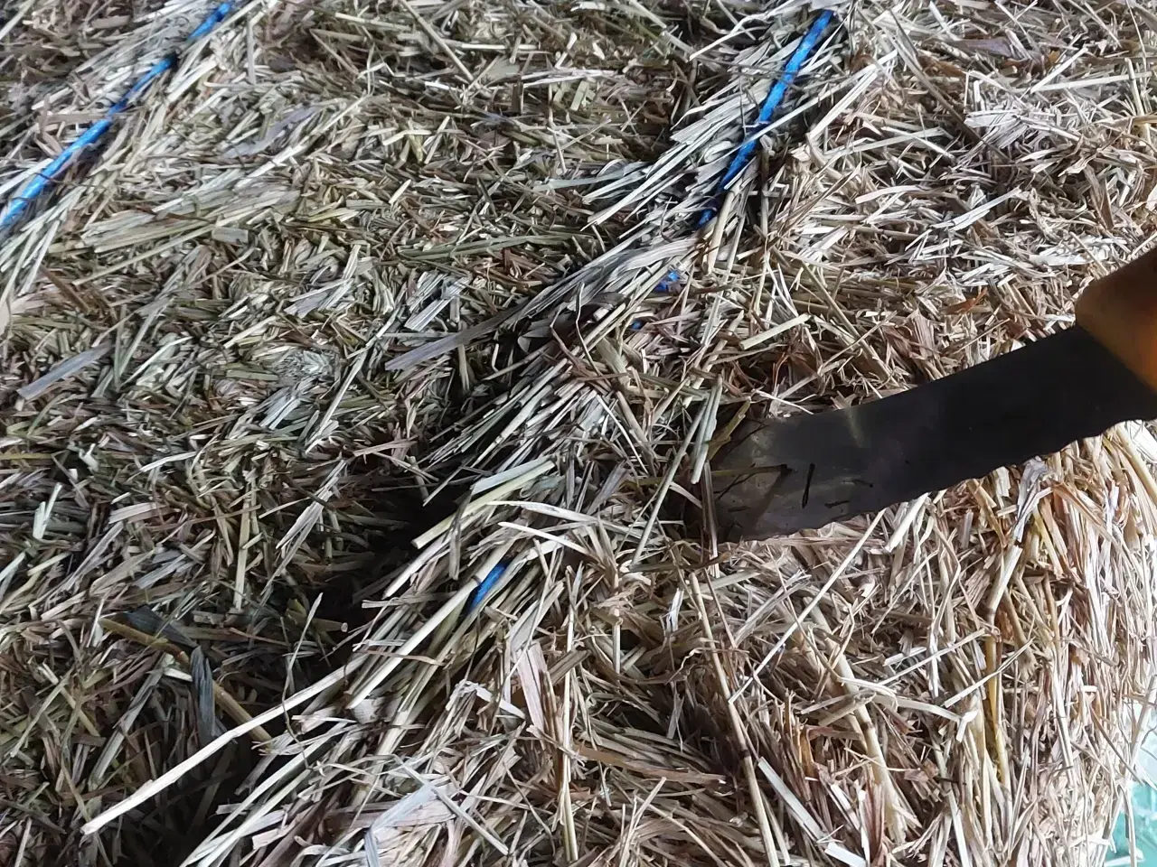 Billede 2 - Wraphø - små firkantede Morten Korch