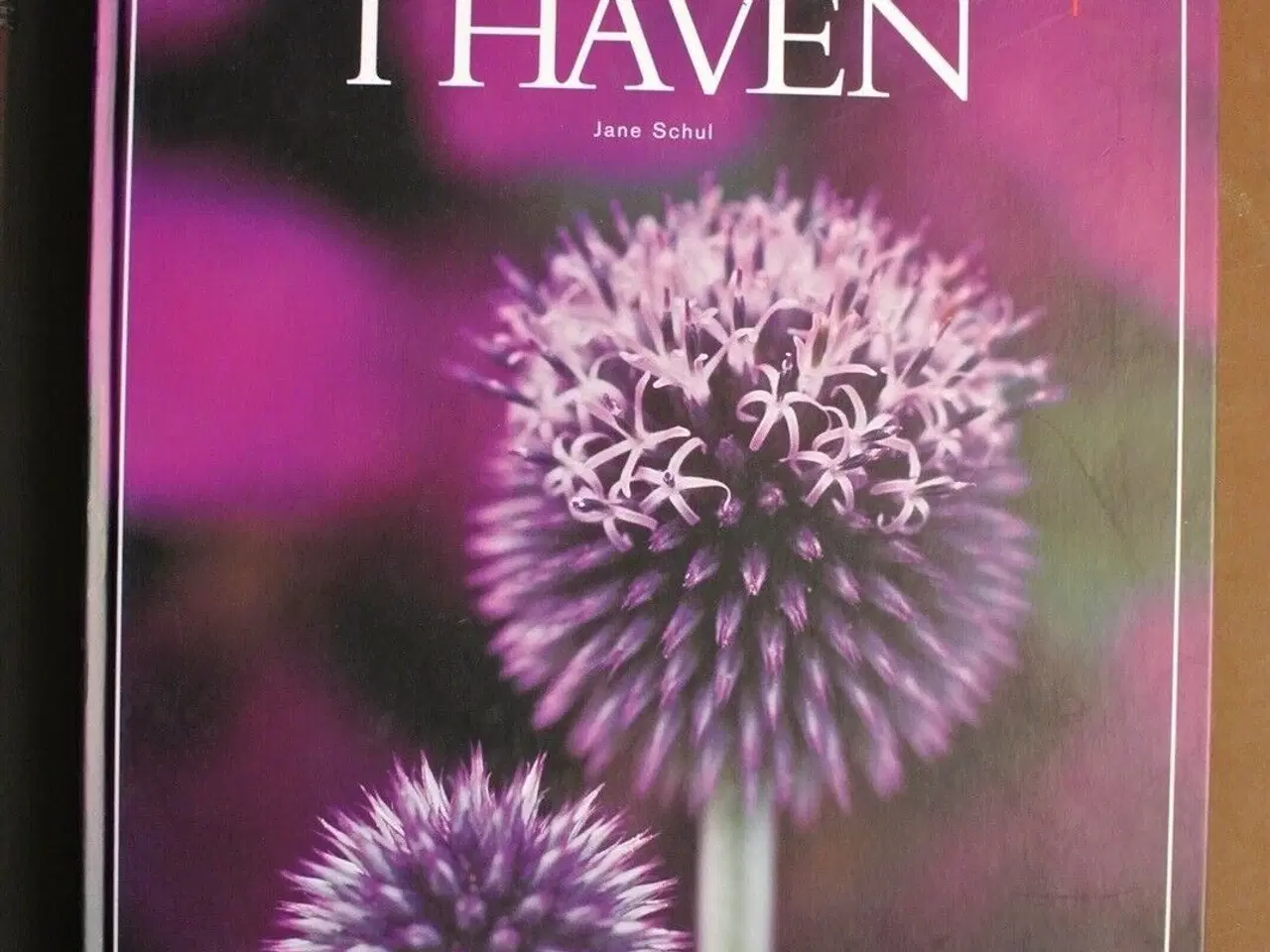 Billede 1 - farver i haven, af jane schul, emne: hus og have