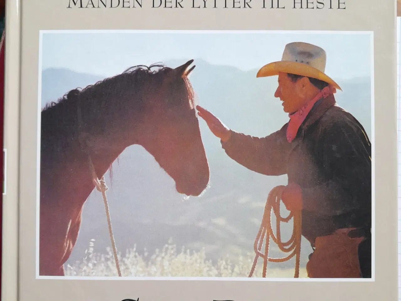 Billede 1 - Shy Boy - Monty Roberts