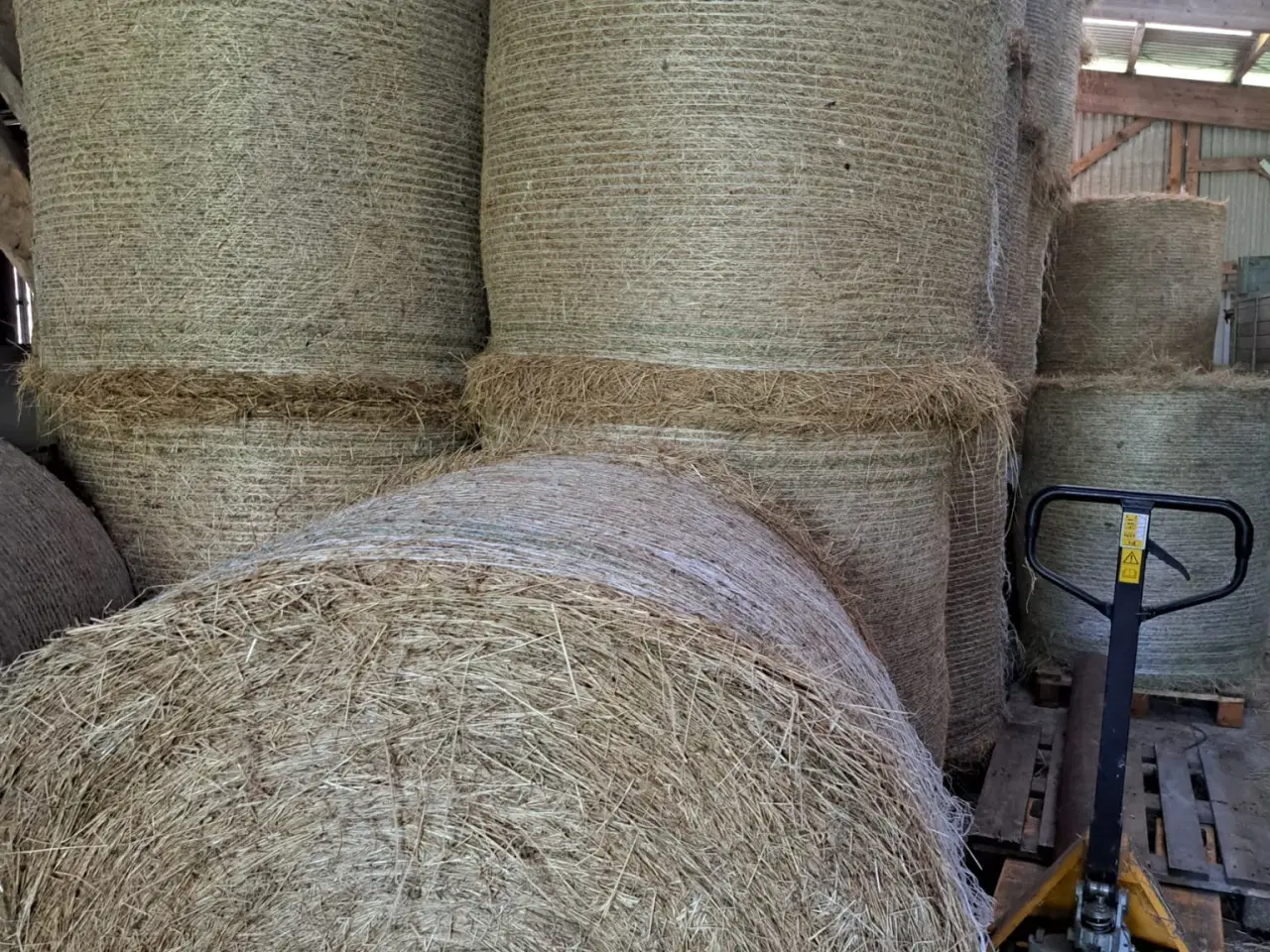 Billede 1 - Hø 1 slet 2025 - ingen engbrændbæger