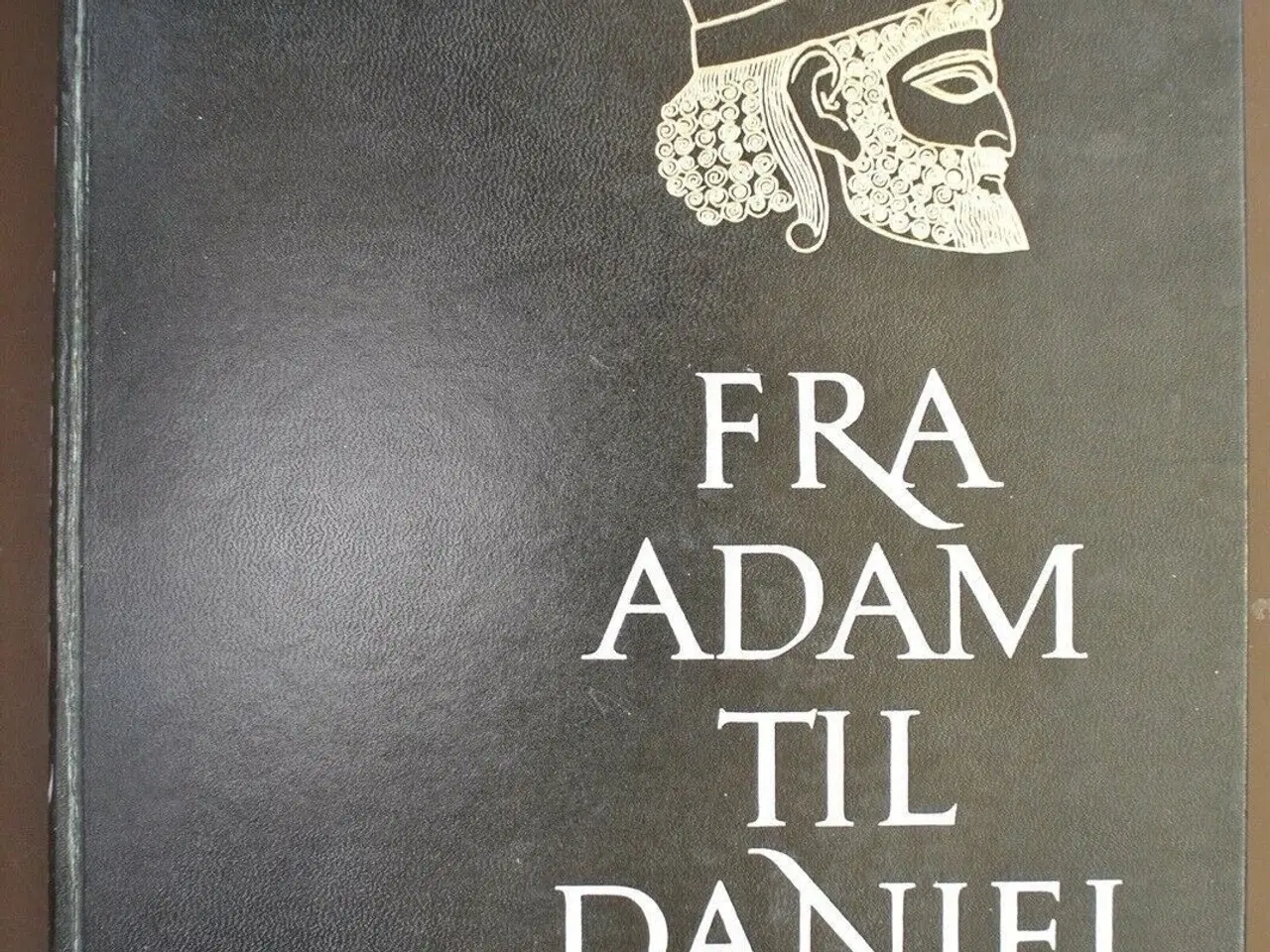 Billede 1 - fra adam til daniel , af gaalyahu cornnfield, emne