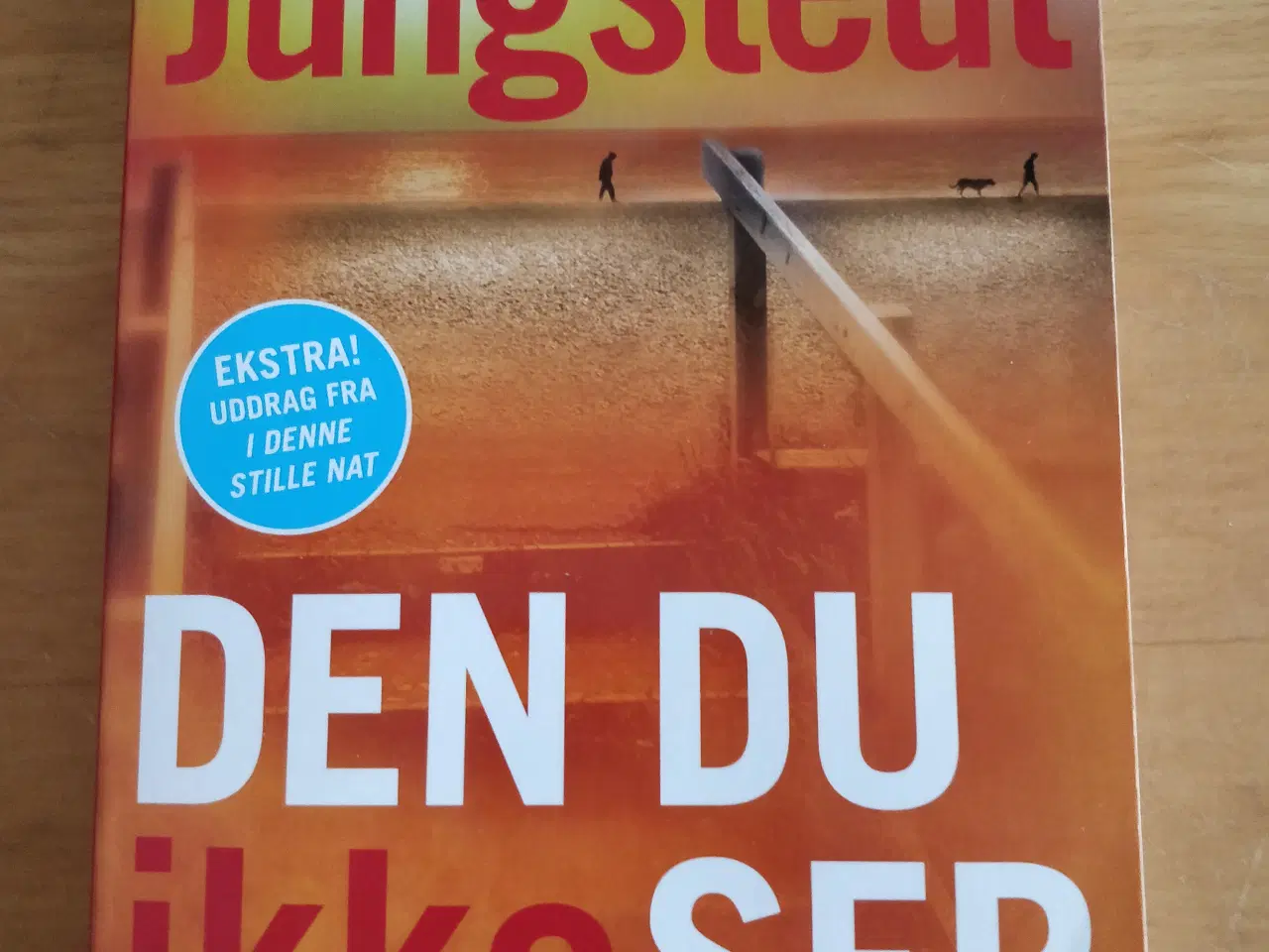 Billede 1 - Den du ikke ser, Mari Jungstedt