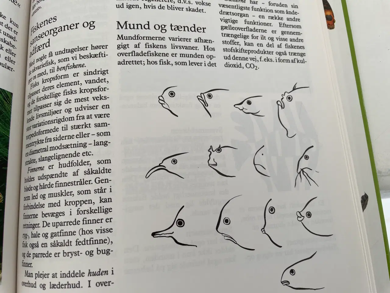 Billede 18 - Akvarie Bogen 