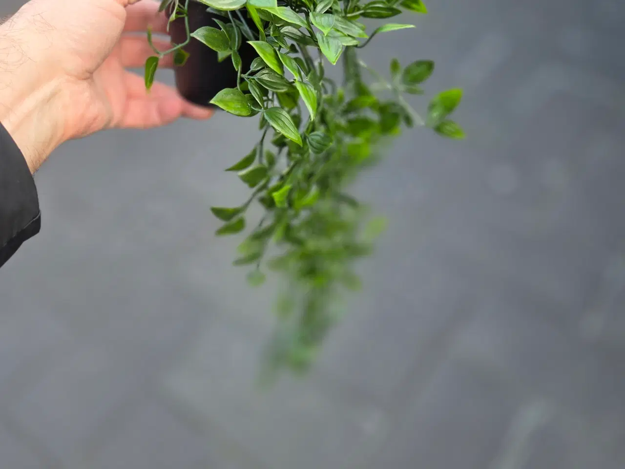 Billede 5 - Kunstige blomster 