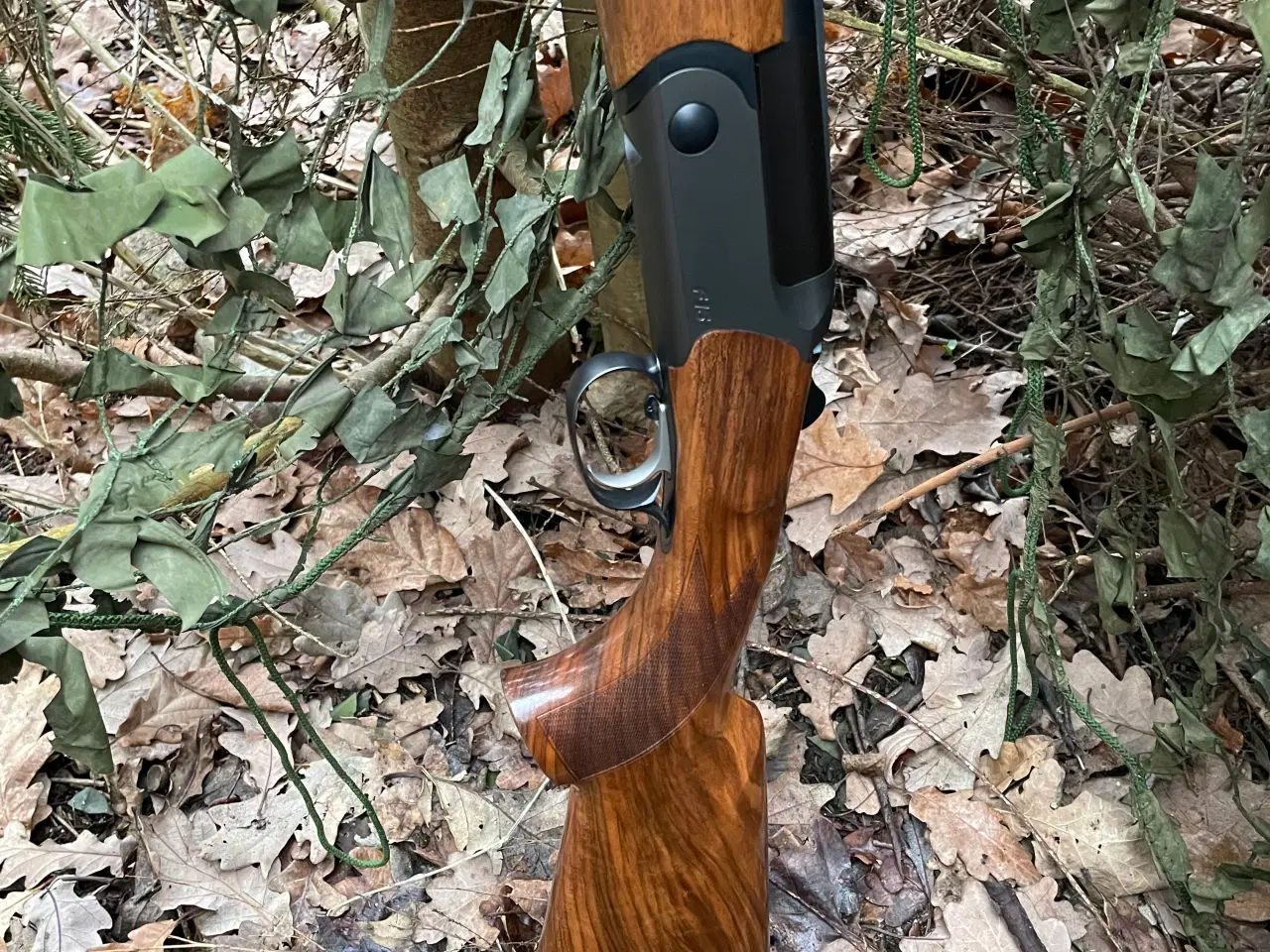 Billede 1 - Blaser f16 71cm 