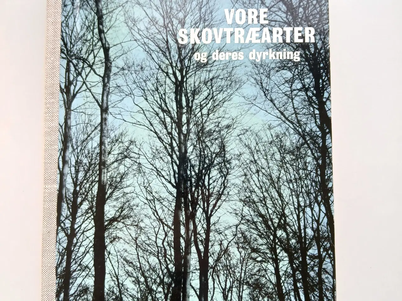 Billede 2 - Carl Mar: Møller: Vore skovtræarter